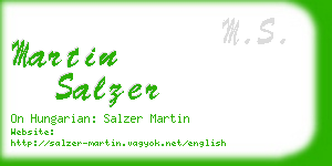 martin salzer business card